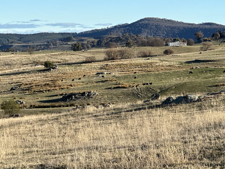 Click to view all images 739 Tooma Road Tumbarumba NSW 2653 - Image 3