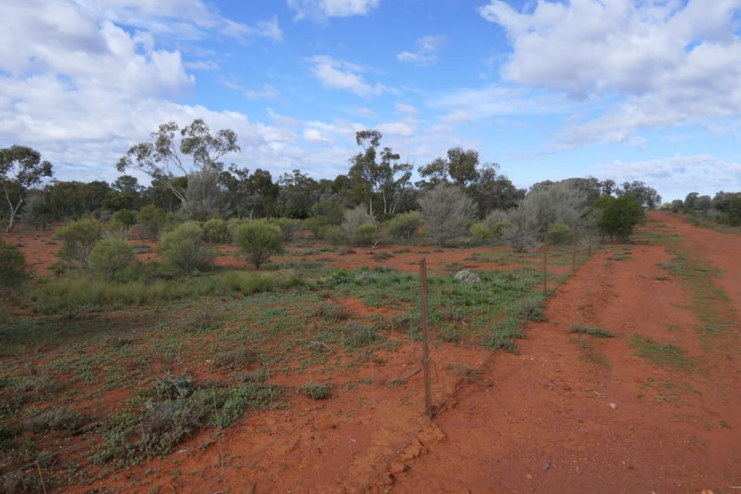 Click to view all images 723 Lerida Road Cobar NSW 2835 - Image 2