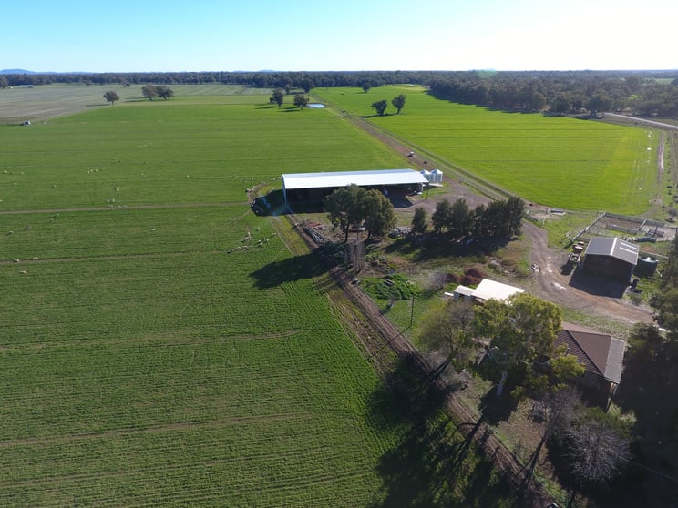 Click to view all images 3943 Bedgerabong Road Forbes NSW 2871 - Image 2
