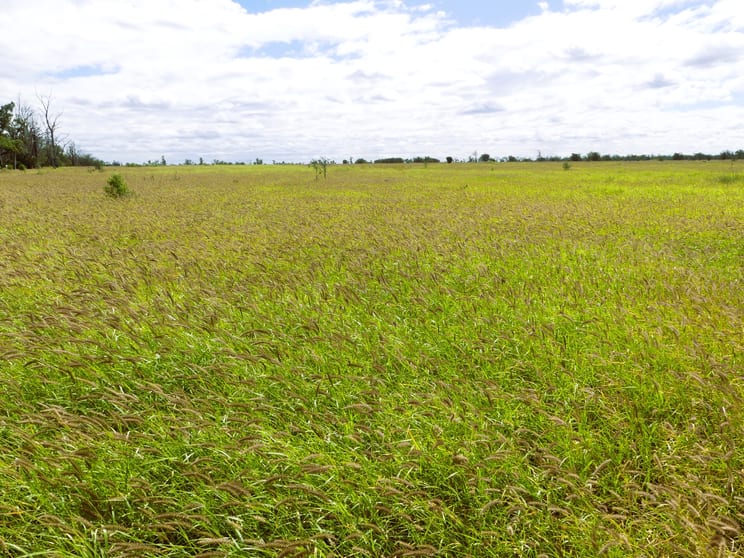 Click to view all images 'Broadmarsh' 4731 Yuleba - Surat Road Surat QLD 4417 - Image 3