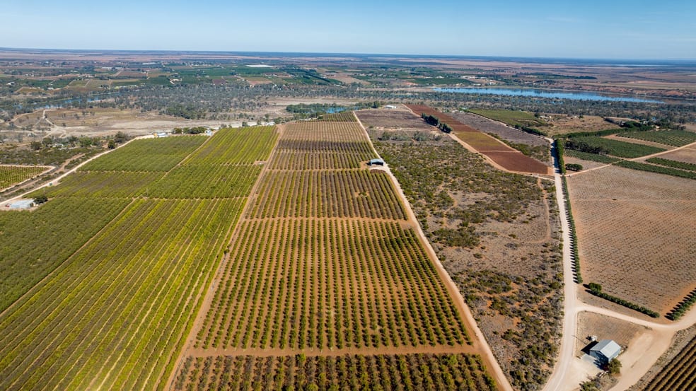 Click to view all images 245 Promnitz Road, Taylorville SA 5330 - Image 3