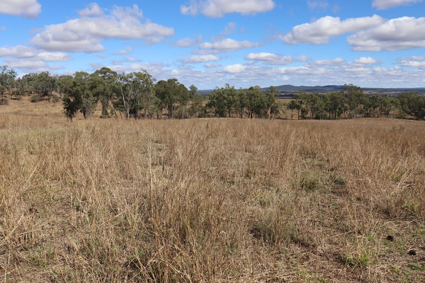 Click to view all images 95 Monto-Mount Perry Road Tellebang QLD 4630 - Image 3