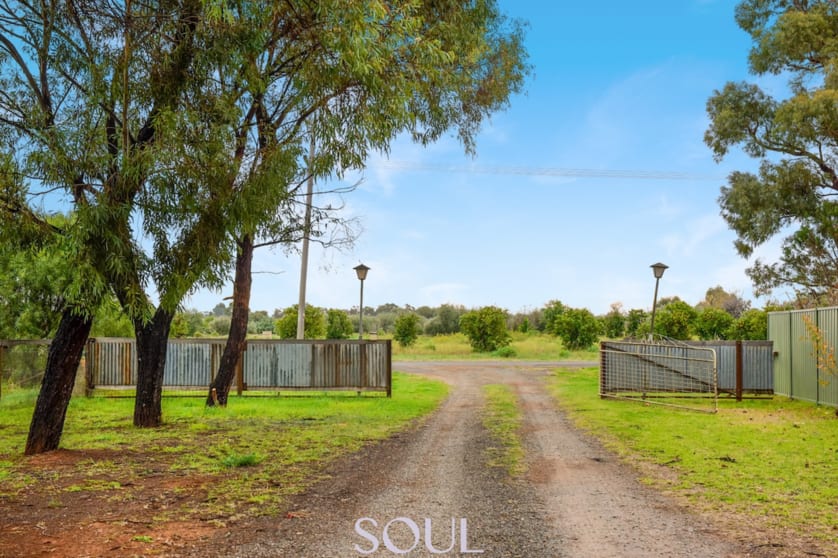 Click to view all images 118 Mccarthy Road Lake Wyangan NSW 2680 - Image 2