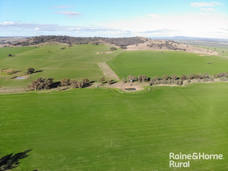 Click to view all images Gerrybang Road Grenfell NSW 2810 - Image 2