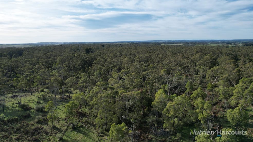 Click to view all images 1805 Princes Highway Pirron Yallock VIC 3249 - Image 2