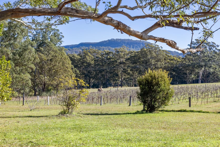 Click to view all images 141 Woodhill Mountain Road Broughton Vale NSW 2535 - Image 2