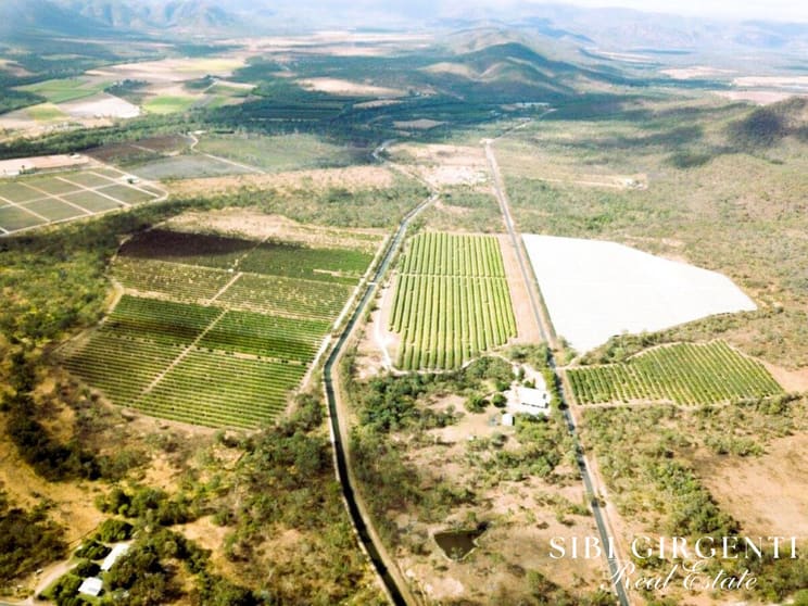 Click to view all images 403 Springmount Road Mutchilba QLD 4872 - Image 2