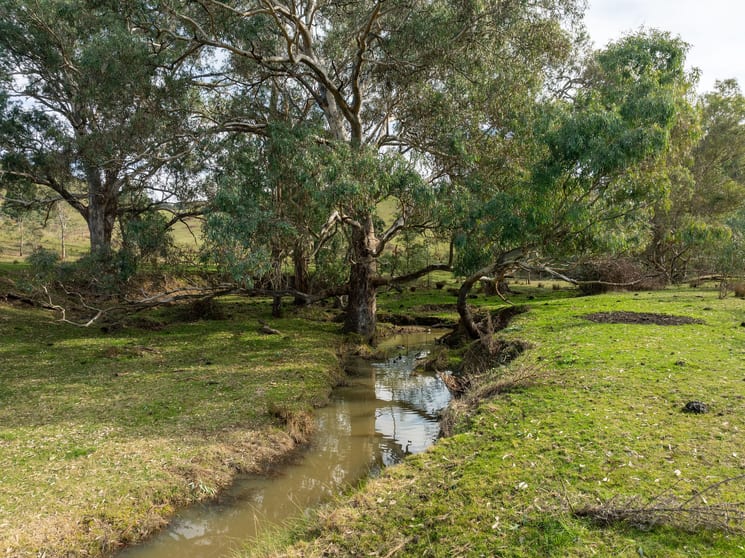 Click to view all images 105 Johnsons Creek Road Maintongoon VIC 3714 - Image 1