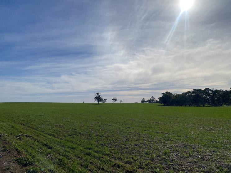 Click to view all images Warracknabeal VIC 3393 - Image 2