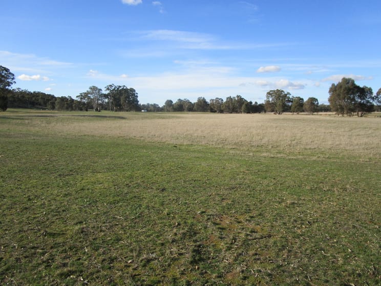 Click to view all images 0 Dunolly Road St Arnaud VIC 3478 - Image 3