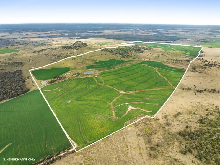 296 Barr Road Clontarf QLD 4357 - Image 2