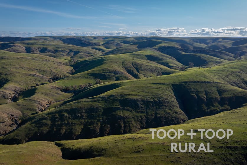 Click to view all images 279/ Three Chain Road Sanderston SA 5237 - Image 2