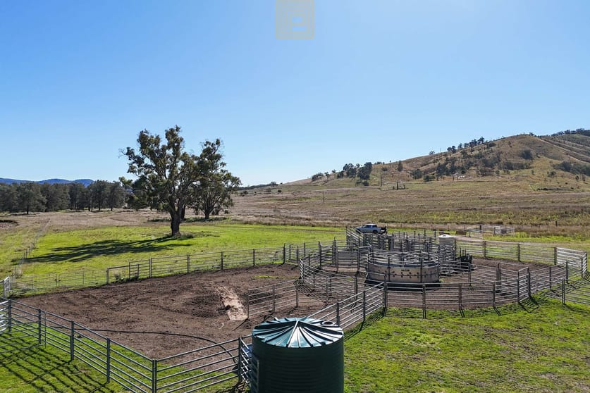 Click to view all images DARTHULA Pound Creek Road Rocky Creek NSW 2390 - Image 3