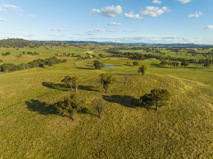 Click to view all images 4276 Westbrook Road Tarcutta NSW 2652 - Image 1