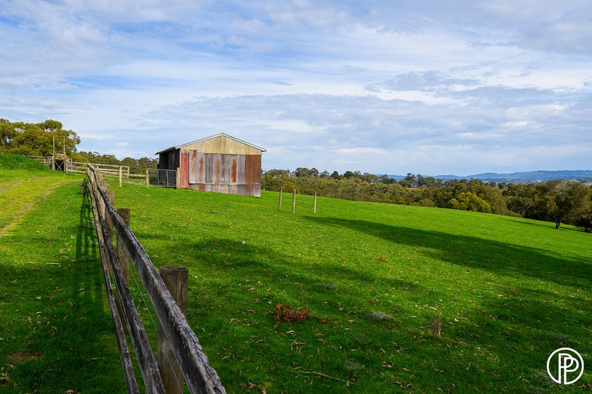 Click to view all images 50 Shevlins Lane Woori Yallock VIC 3139 - Image 3