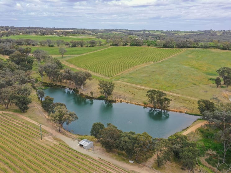 Click to view all images 155 Tierneys Road Young NSW 2594 - Image 1
