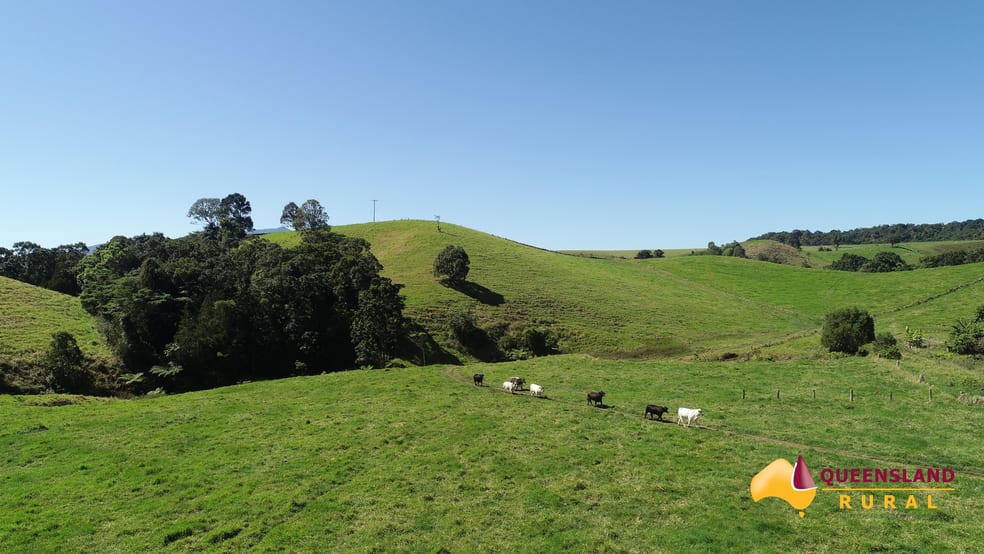 Click to view all images Butchers Creek QLD 4885 - Image 3