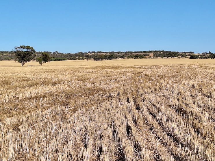 Click to view all images Lot 801 Carnamah - Perenjori Road Carnamah WA 6517 - Image 3