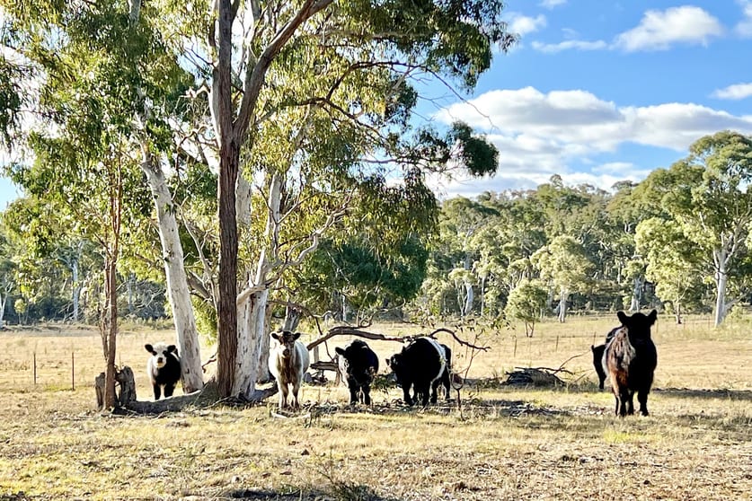 Click to view all images 3814 Oallen Ford Road Windellama NSW 2580 - Image 1