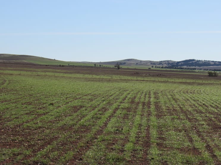 Click to view all images "Averies" Chapman Road Coomooroo SA 5431 - Image 2