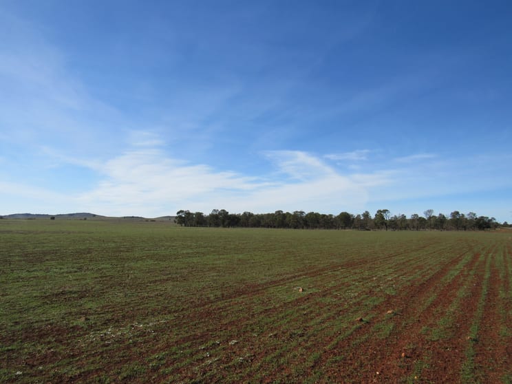 Click to view all images "Cooks" Deidre Road Eurelia SA 5431 - Image 3
