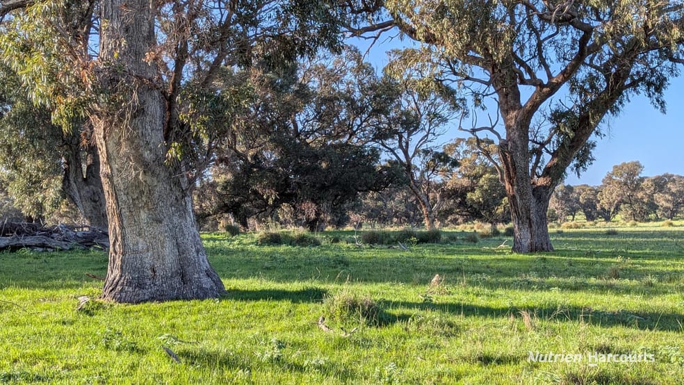 Click to view all images Lot M878 Caraban Road Woodridge WA 6041 - Image 2