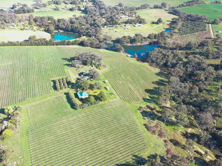 Click to view all images 99 Noonans Road Young NSW 2594 - Image 1