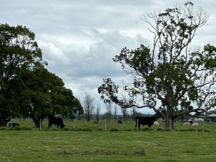 Click to view all images 363 Austral Eden Inner Road Austral Eden NSW 2440 - Image 3