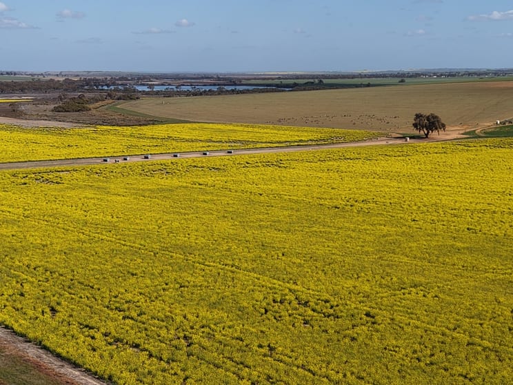 Click to view all images Quairading South Road Dangin WA 6383 - Image 2