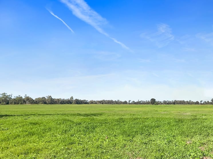 Click to view all images 1831 Pelican Back Road Burncluith QLD 4413 - Image 1