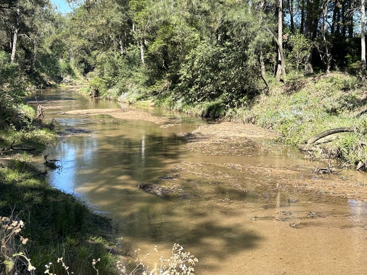 Click to view all images 1640 Upper Mongogarie Road Mongogarie NSW 2470 - Image 3