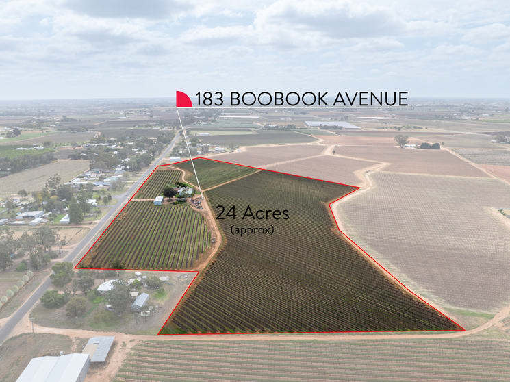 Click to view all images 183 Boobook Avenue Red Cliffs VIC 3496 - Image 2