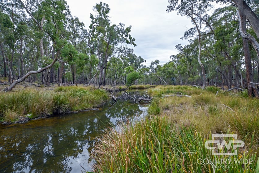 Click to view all images 73/74 Strathbogie Road Wellingrove NSW 2370 - Image 3