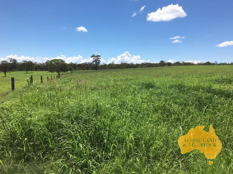 Click to view all images 115 Berries Road Childers QLD 4660 - Image 2