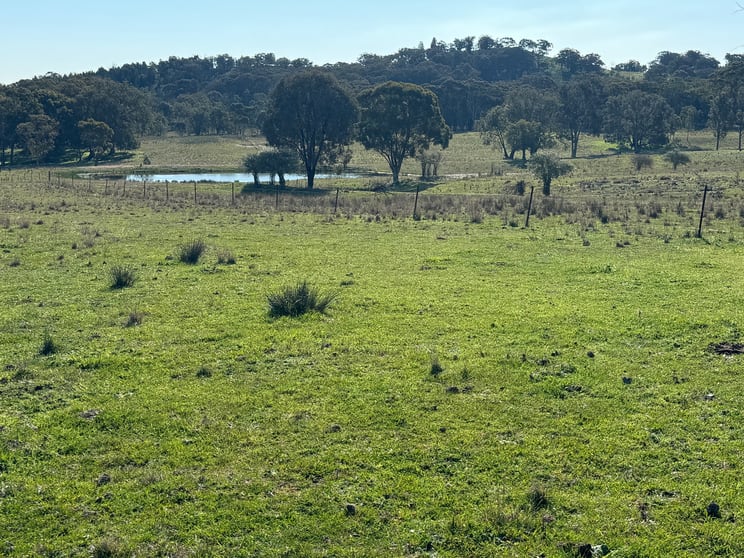 Click to view all images 332 Kurtz Lane Mudgee NSW 2850 - Image 2