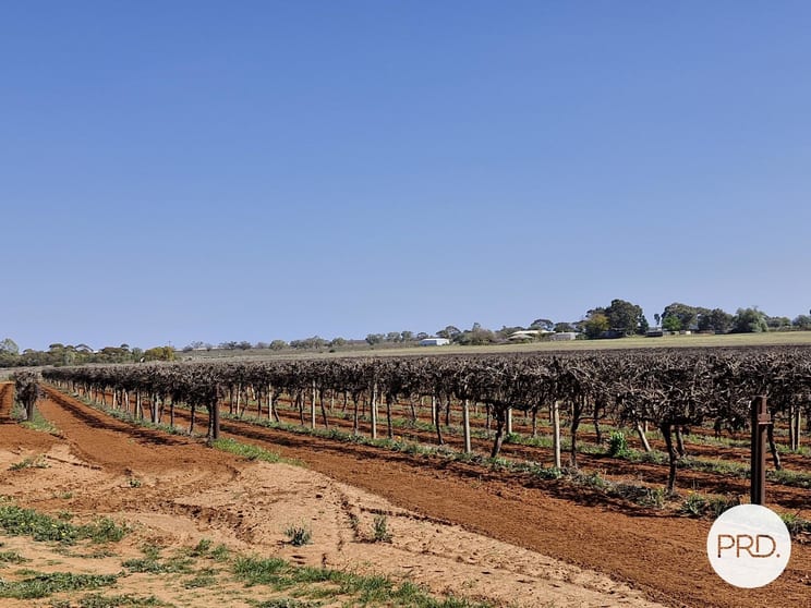 Click to view all images C.A 135 Cowanna Avenue South Merbein South VIC 3505 - Image 2