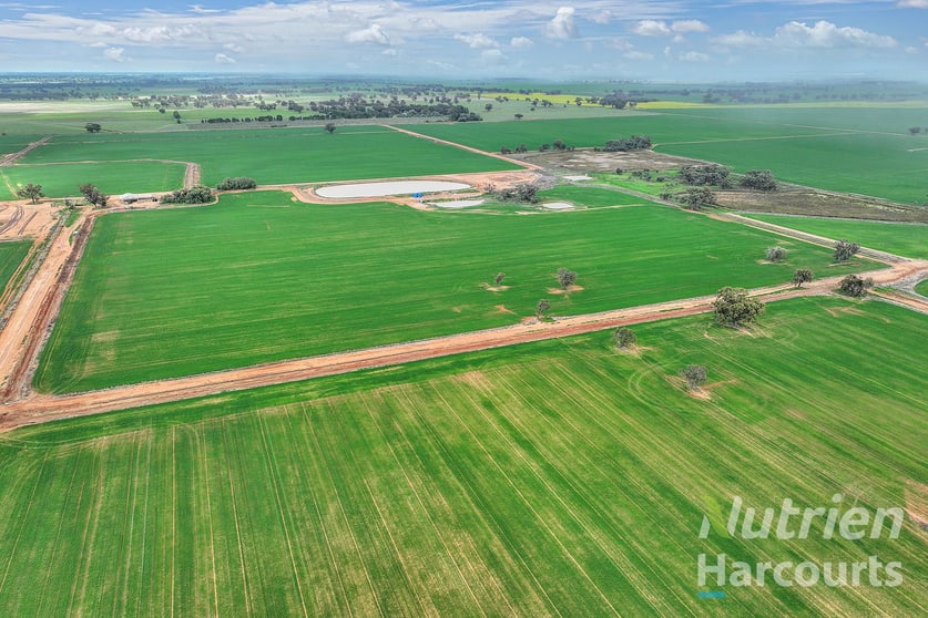 Click to view all images 1875 Bunnaloo Road Bunnaloo NSW 2731 - Image 3