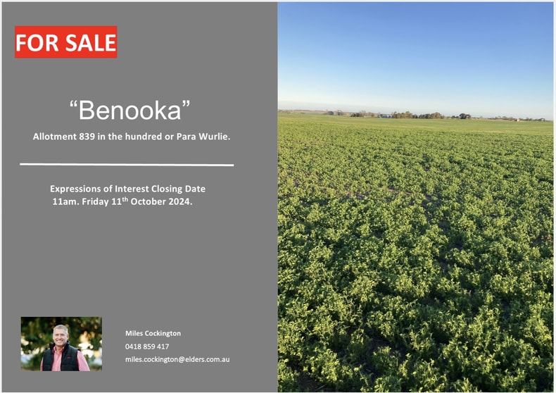 Click to view all images 13528 Yorke Highway Warooka SA 5577 - Image 1