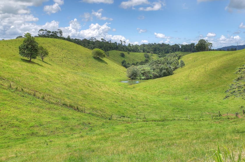 Click to view all images 1288 Beatrice Way Millaa Millaa QLD 4886 - Image 3