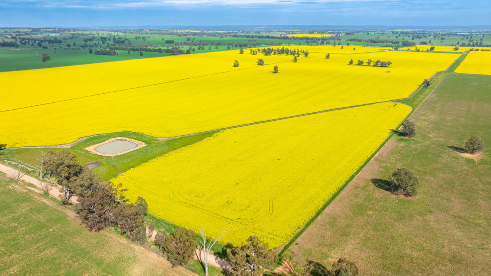 Click to view all images Olympic Highway Yerong Creek NSW 2642 - Image 2