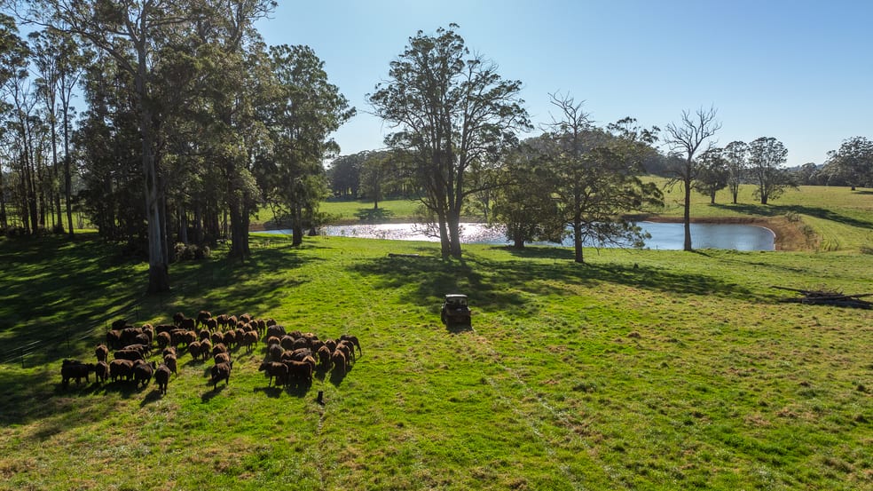 Click to view all images 193 Faheys and Bulgins Road Hernani NSW 2453 - Image 3