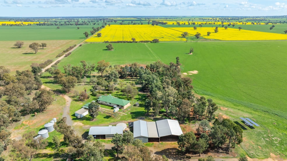 Click to view all images 162 Back Ferndale Road Rand NSW 2642 - Image 2