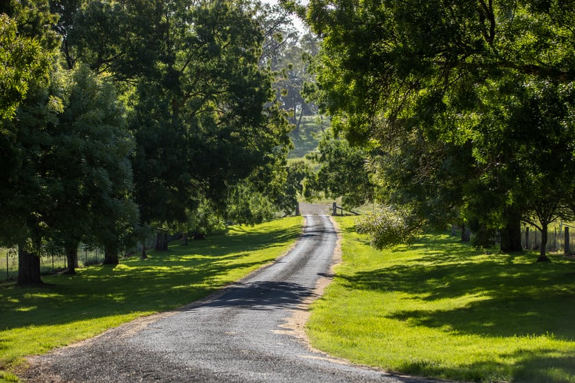 196 Toms Gully Road Black Mountain NSW 2365 - Image 2