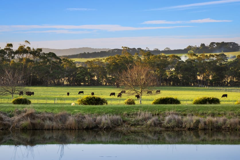 Click to view all images 73 Monument Road Romsey VIC 3434 - Image 2