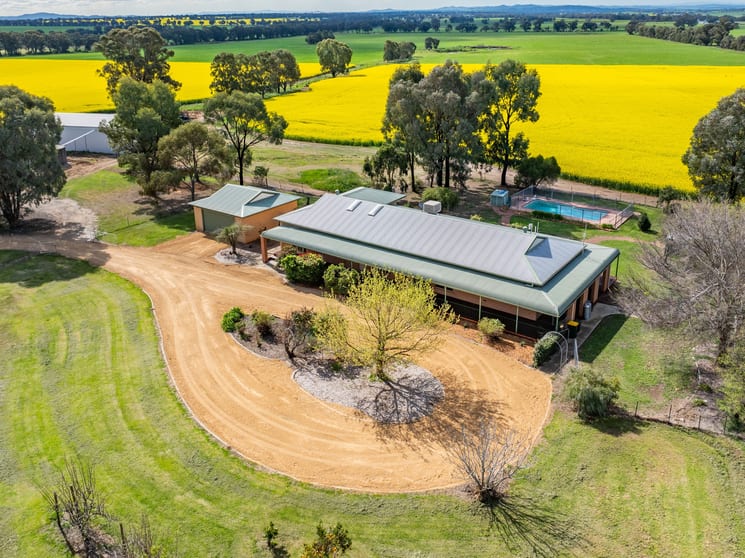Click to view all images 830 Morongla Road Cowra NSW 2794 - Image 3