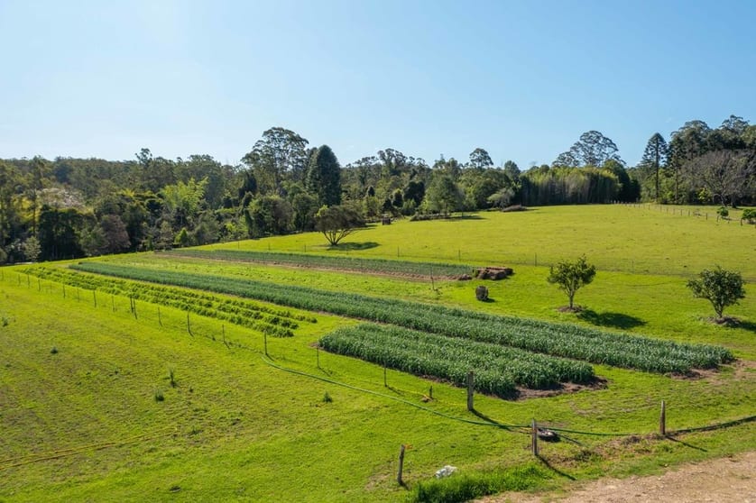 Click to view all images 161 Molly Milligan Road Marlo Merrican NSW 2441 - Image 2
