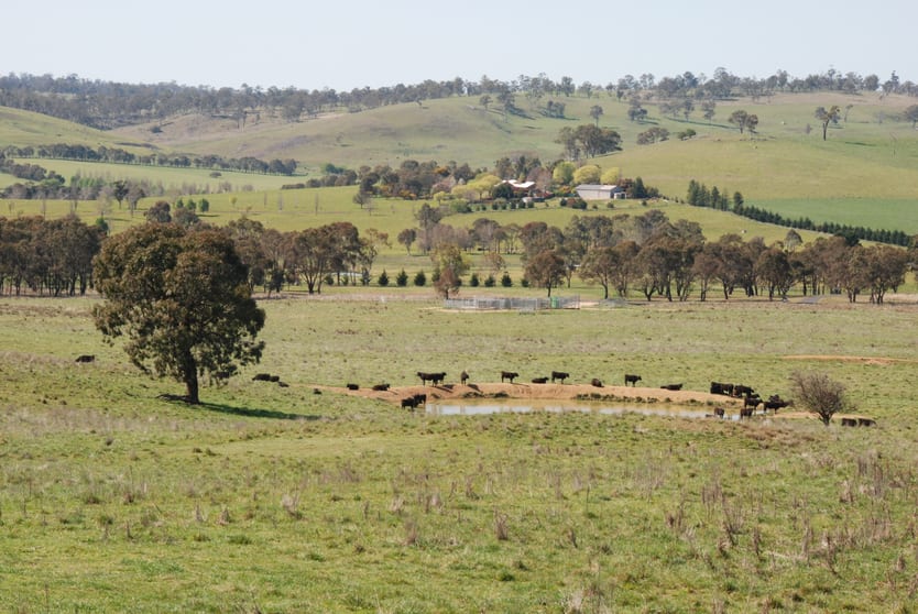Click to view all images 160 Aberbaldie Road Walcha NSW 2354 - Image 2