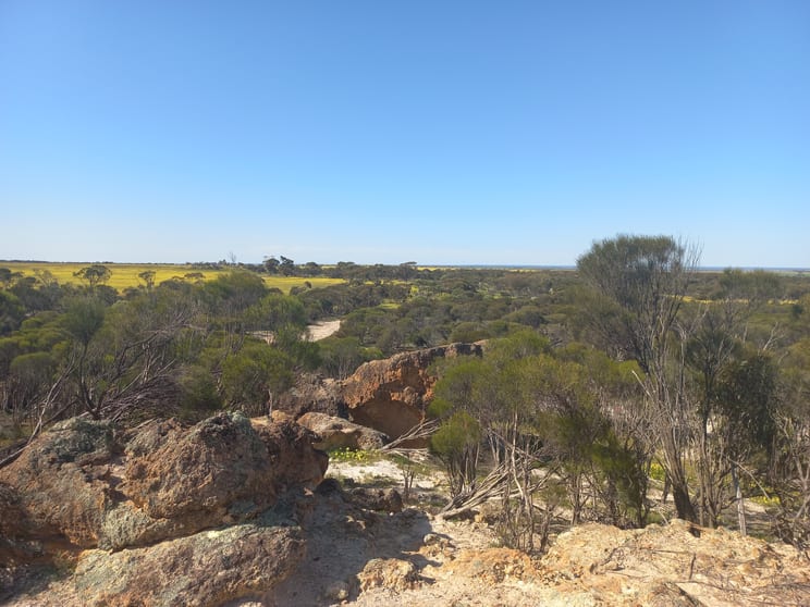 Click to view all images 998 Watson Road Latham WA 6616 - Image 2