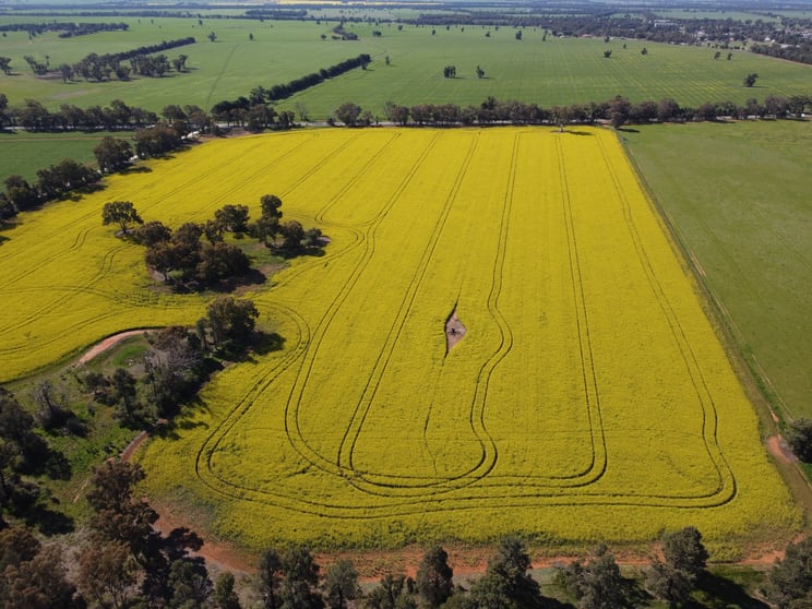 Click to view all images Lot 155 DP750852 Burley Griffin Way Ariah Park NSW 2665 - Image 3