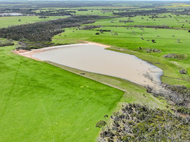 Click to view all images 2448 East West One Highway Newland SA 5223 - Image 2